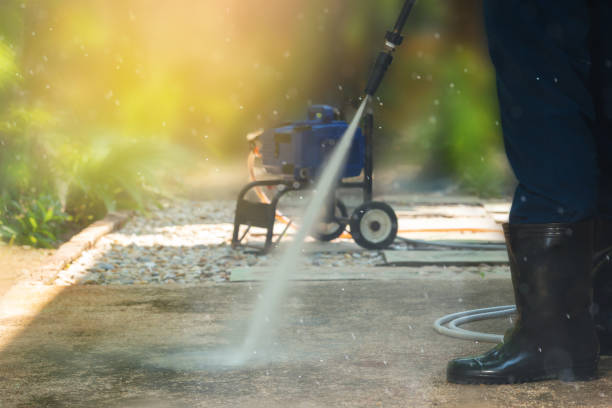 Best Driveway Pressure Washing  in Mount Jackson, VA